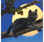 Folkmanis Black Cat Puppet