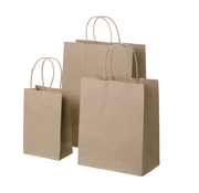 Gift Bag Kraft Bag with Twine Handle