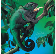 Folkmanis Folkmanis Chameleon Puppet