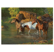 Cobble Hill Puzzles FINAL SALE Cobble Hill Horse Pond Puzzle 500pcs RETIRED