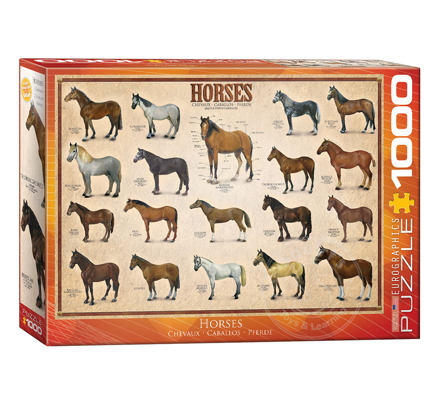 Eurographics Horses Puzzle 1000pcs