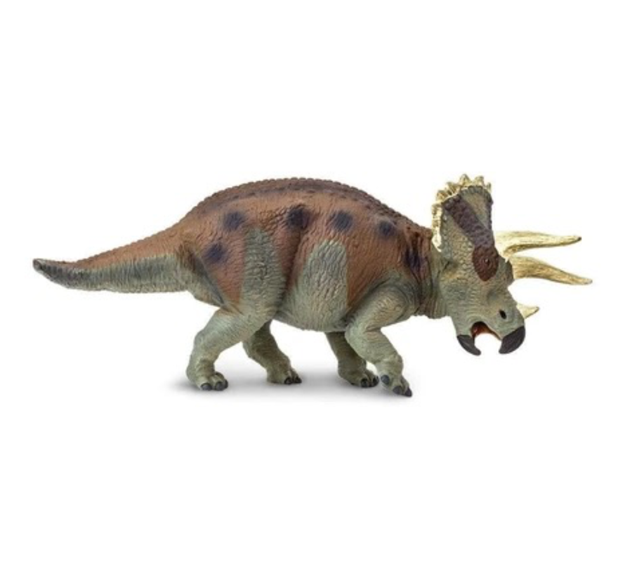Safari Triceratops