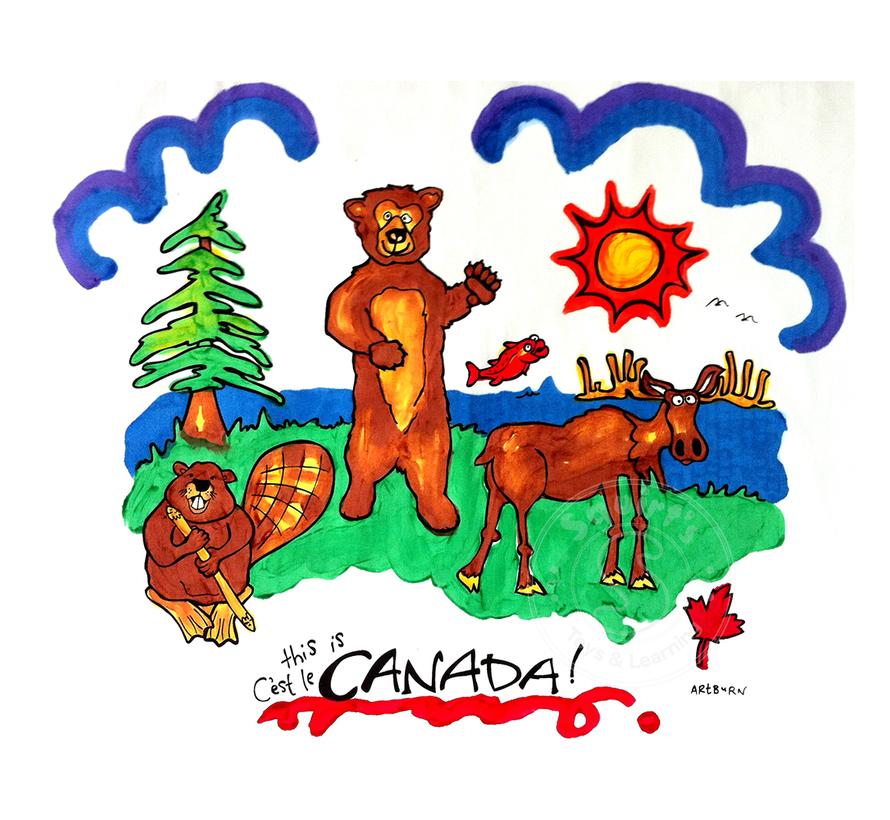 Pillow Case Painting Kit - This is Canada (Animals)