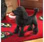 Folkmanis Poodle Puppet - retired