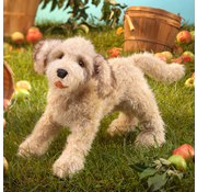 Folkmanis Folkmanis Labradoodle Dog Puppet