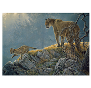 Cobble Hill Puzzles FINAL SALE Cobble Hill Excursion - Cougars and Kits Family Puzzle 350pcs RETIRED