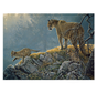 FINAL SALE Cobble Hill Excursion - Cougars and Kits Family Puzzle 350pcs RETIRED