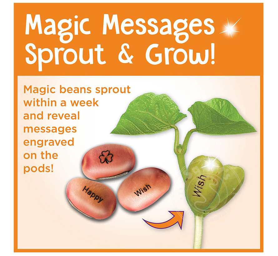 FINAL SALE Creativity for Kids Magic Bean Garden