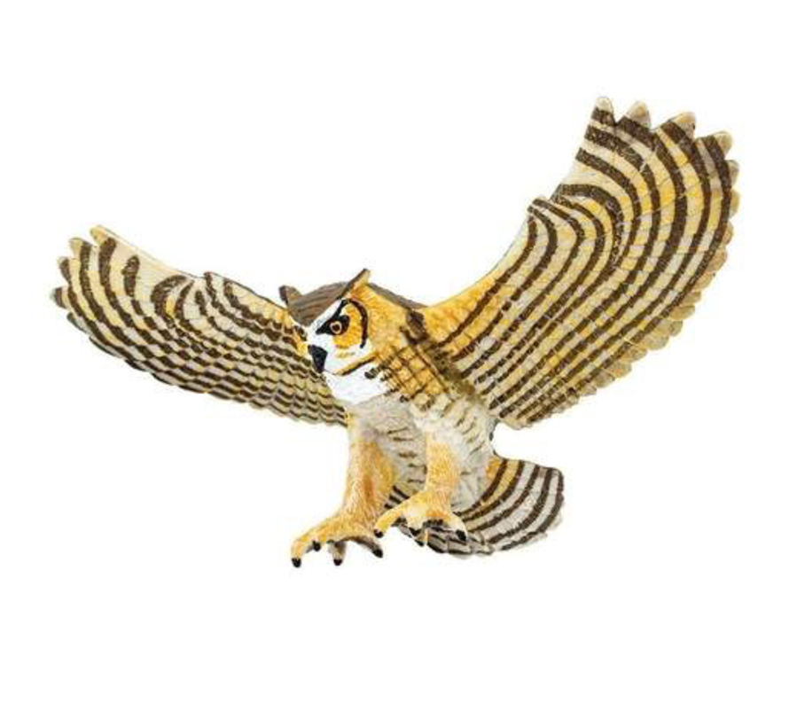 Safari Great Horned Owl