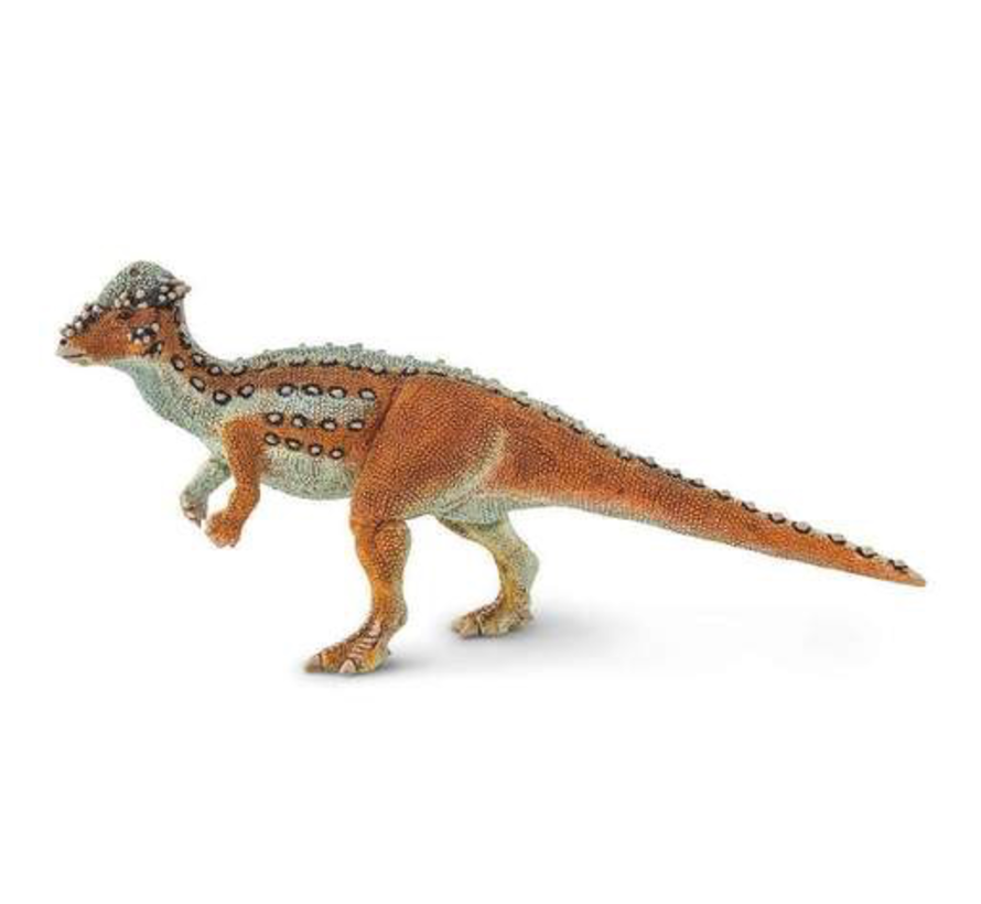 Safari Pachycephalosaurus