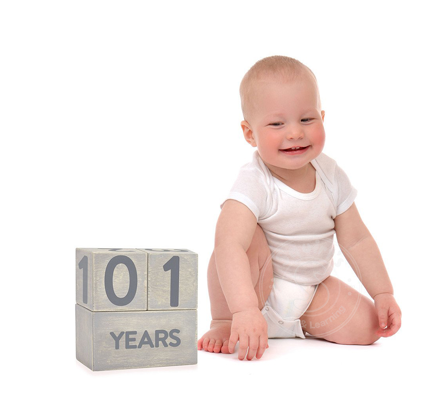 Age Milestone Blocks Set - Wooden, Gray