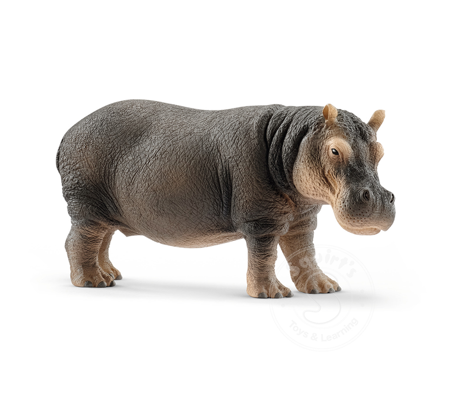 Schleich Hippopotamus - retired