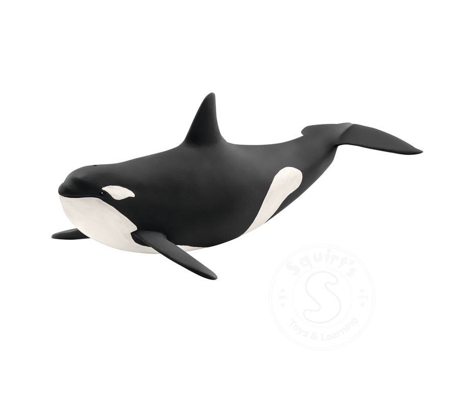 Schleich Killer Whale