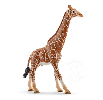 Schleich Schleich Giraffe, male