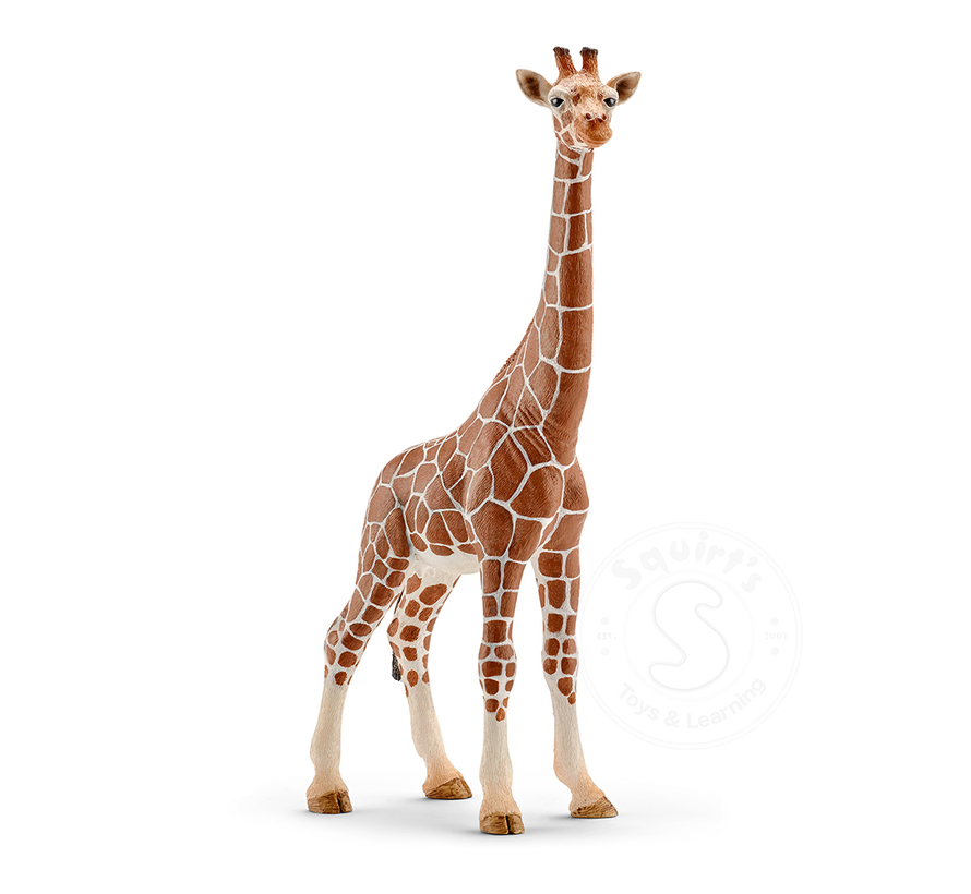 Schleich Giraffe, female