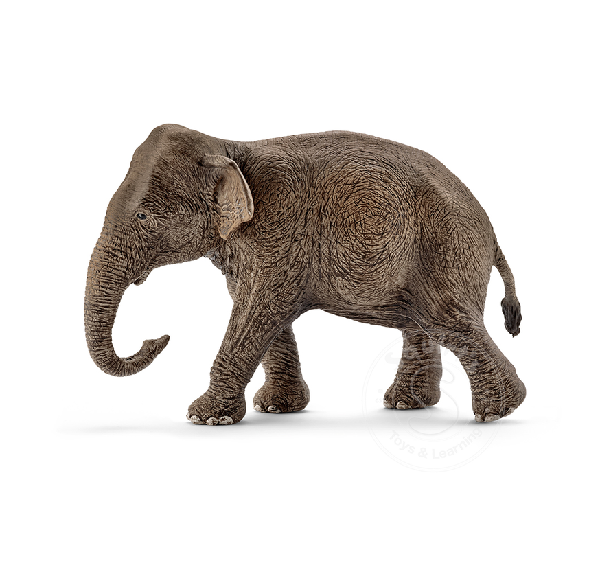 Schleich Asian Elephant, female - retired?