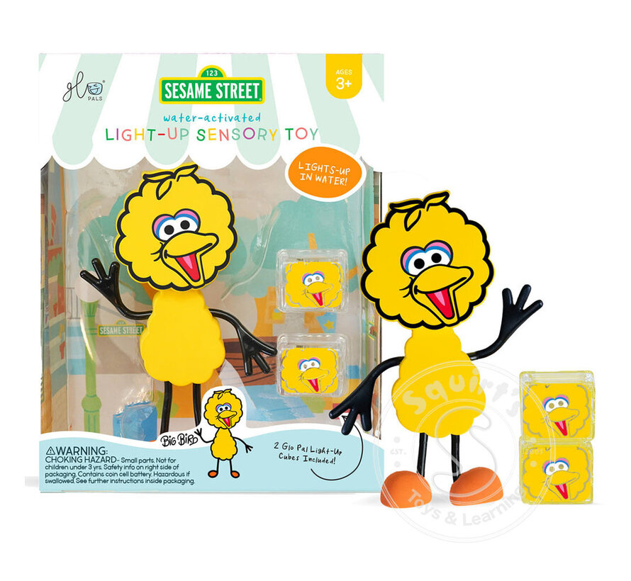 Glo Pals Sesame Street Big Bird Light-Up Character