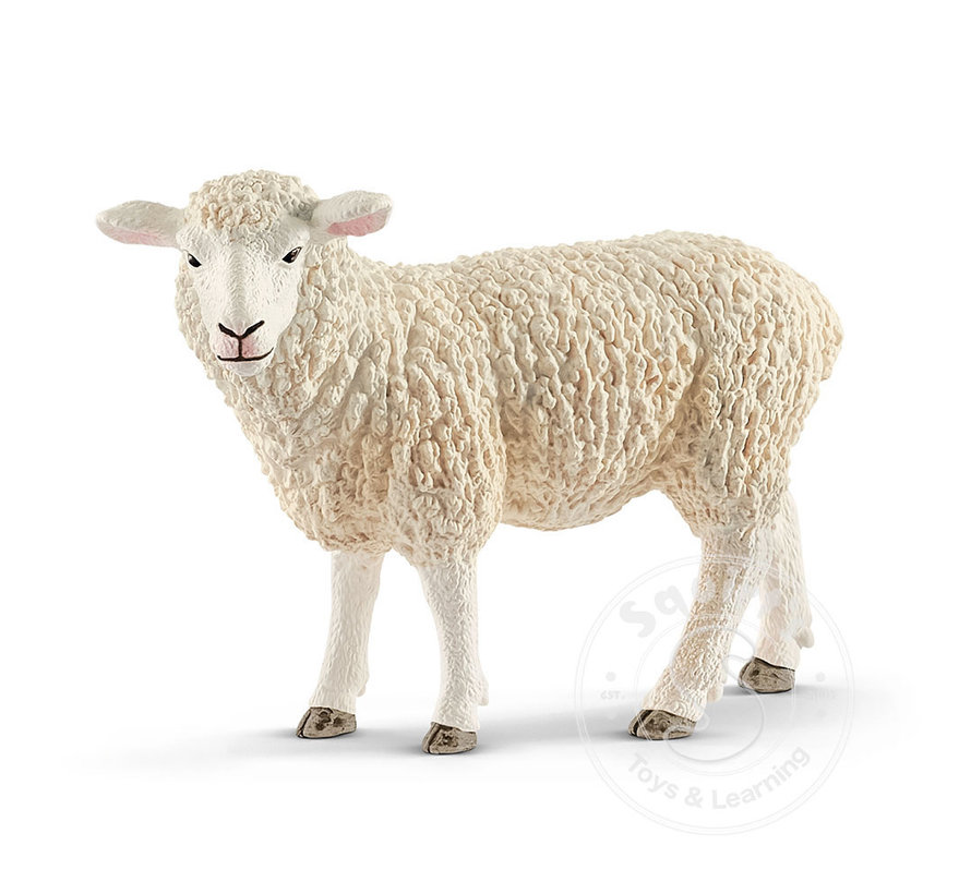 Schleich Sheep