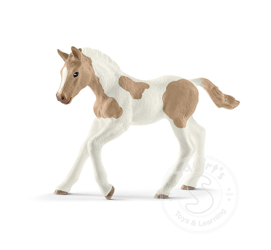 Schleich Paint Horse Foal