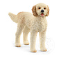 Schleich Goldendoodle