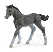Schleich Schleich Trakehner Foal - retired