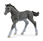 Schleich Trakehner Foal - retired