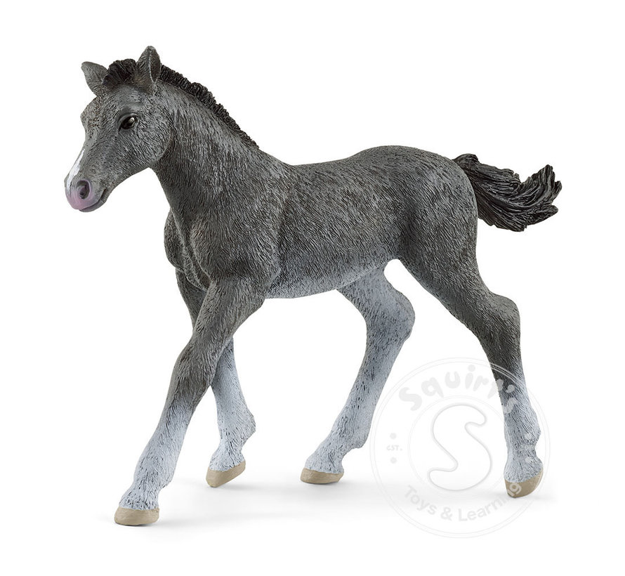 Schleich Trakehner Foal - retired