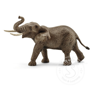 Schleich Schleich African Elephant, male