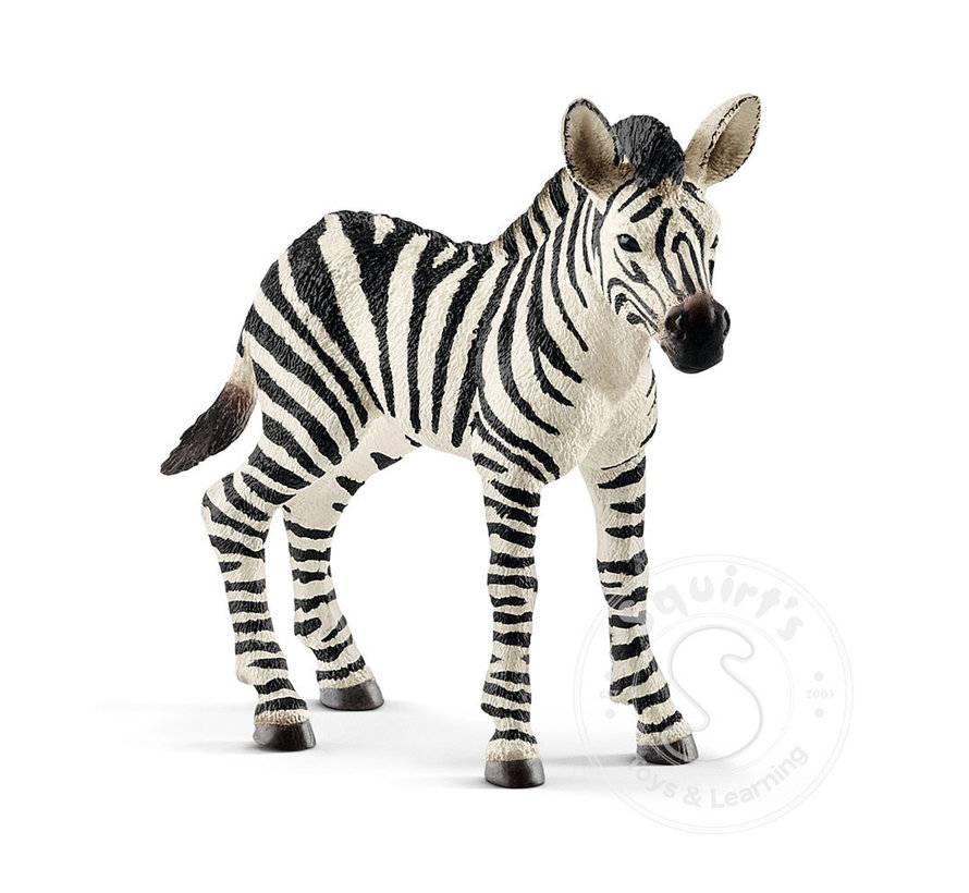 Schleich Zebra Foal
