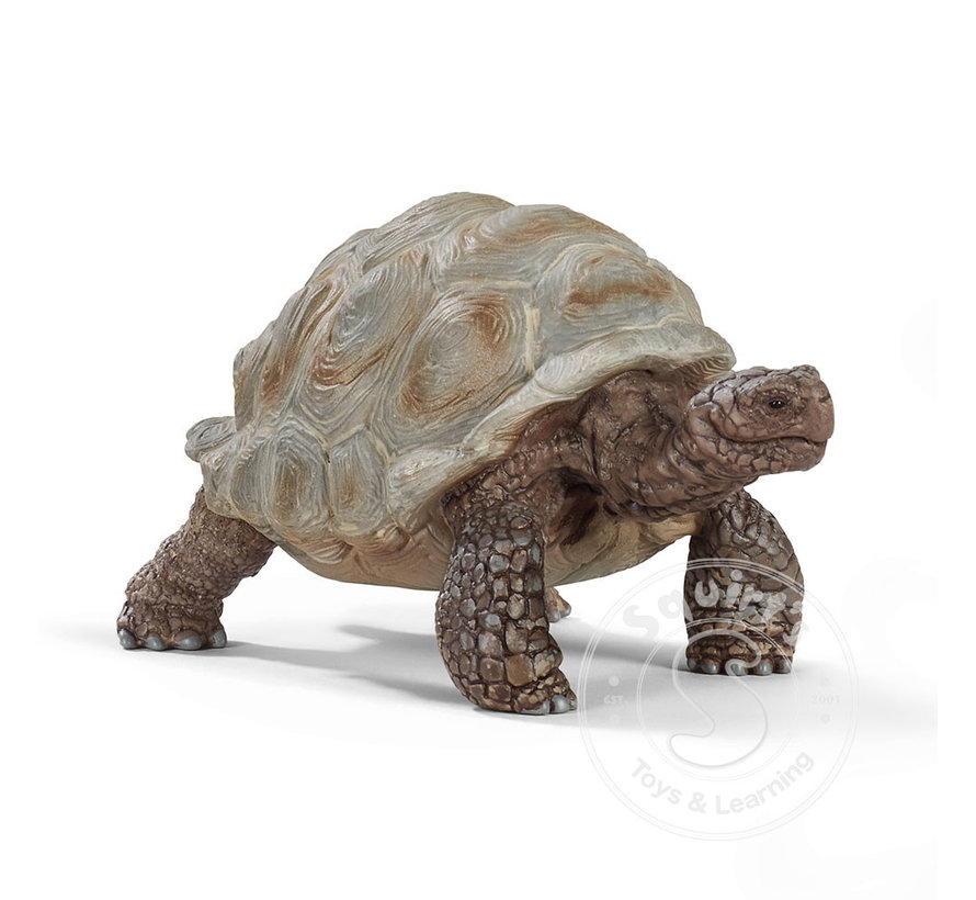 Schleich Giant Tortoise