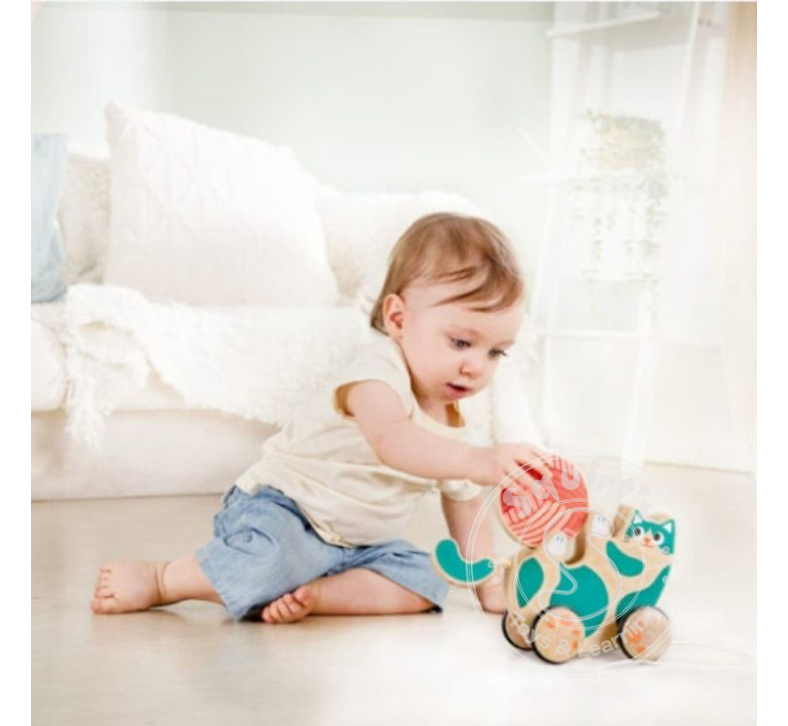 Hape Roll & Rattle Kitten