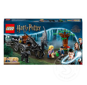 LEGO® LEGO® Harry Potter Hogwarts™ Carriage and Thestrals
