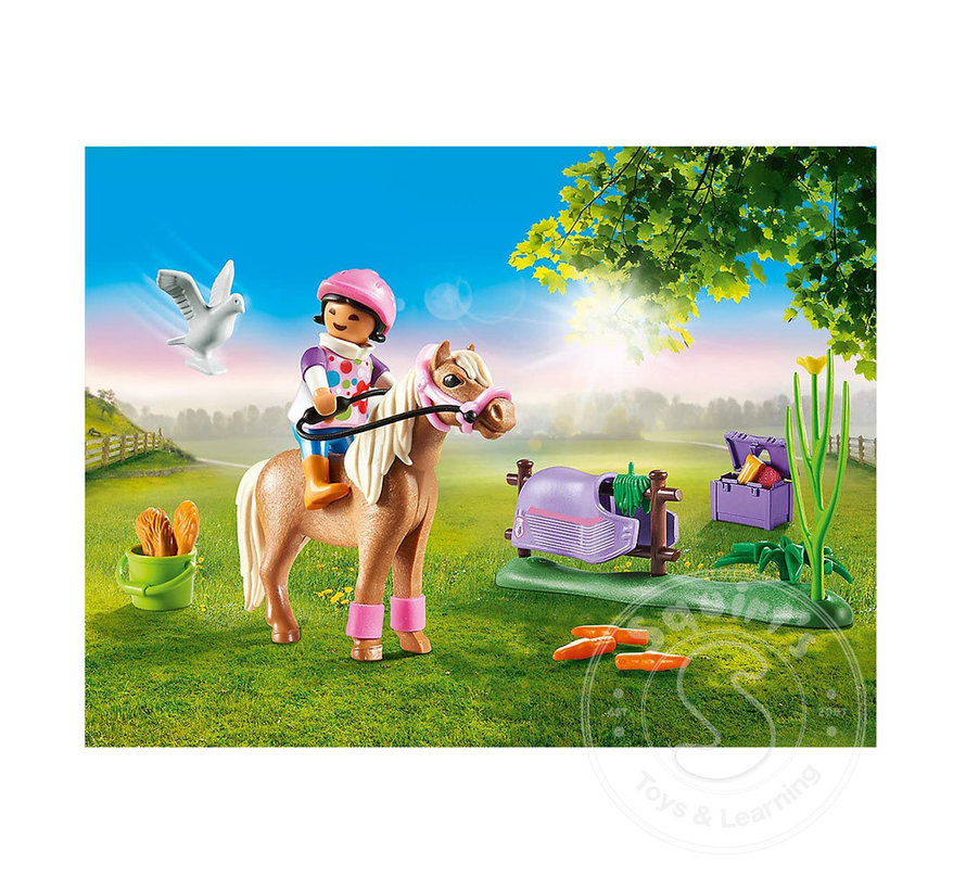 Playmobil Collectible Icelandic Pony - Squirt's Toys & Learning Co