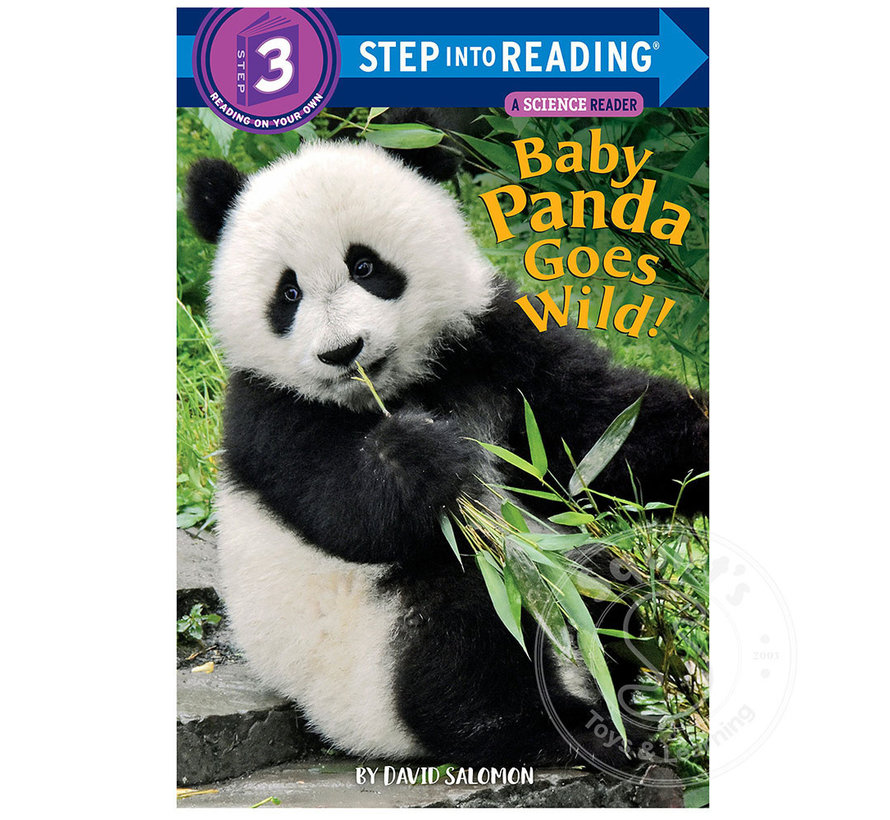 Step 3 Baby Panda Goes Wild!