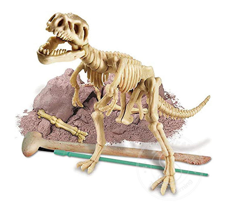 Dig a Dinosaur Tyrannosaurus Rex