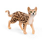 Schleich Bengal Cat - Retired