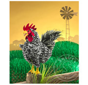 Folkmanis Folkmanis Barred Rock Rooster Puppet