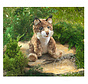 Folkmanis Bobcat Kitten Puppet