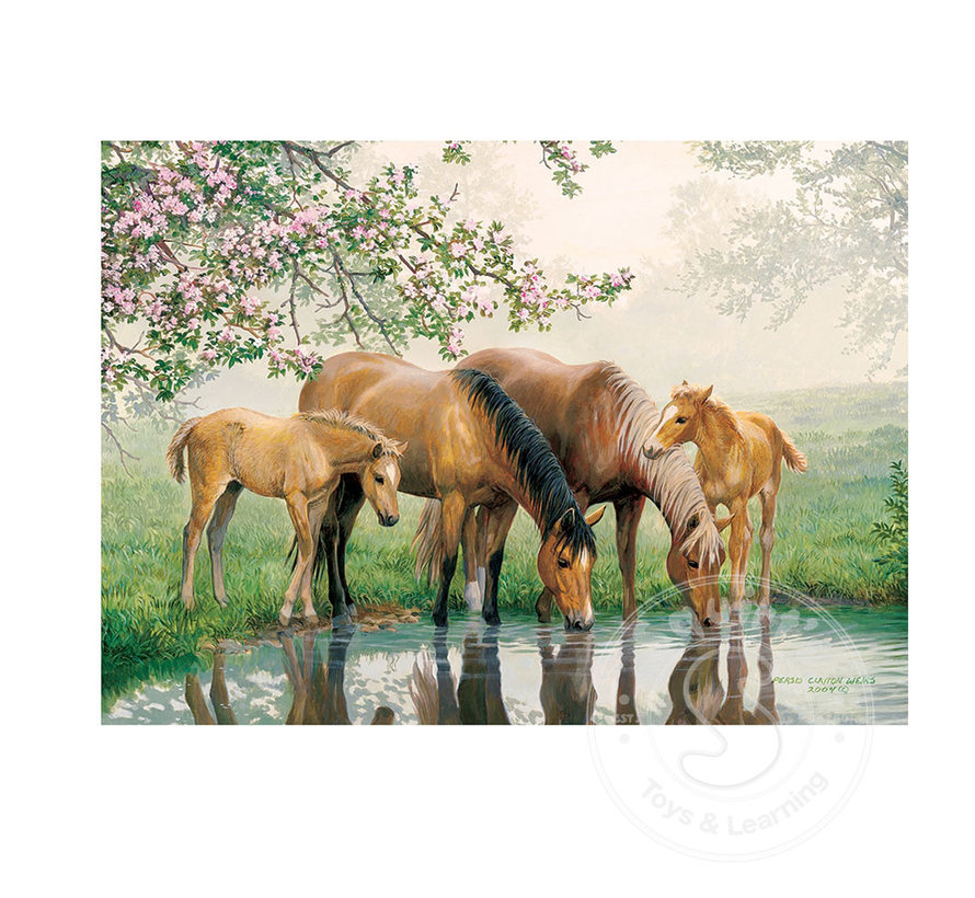 Cobble Hill Watering Hole Tray Puzzle 35pcs