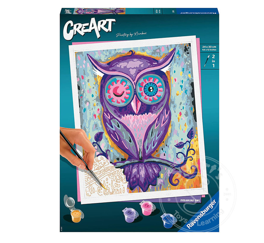 CreArt Paint by Numbers - Dreaming Owl