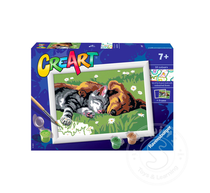 CreArt Paint by Numbers - Sleeping Cat and Dog