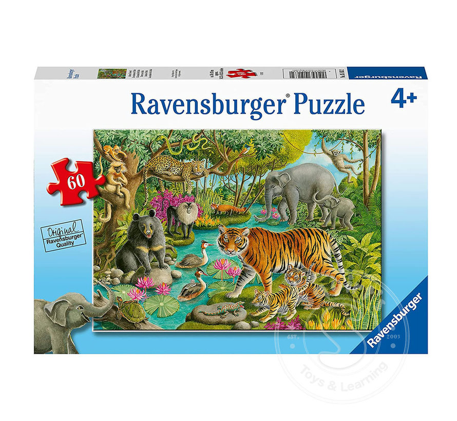 Ravensburger Animals of India Puzzle 60pcs