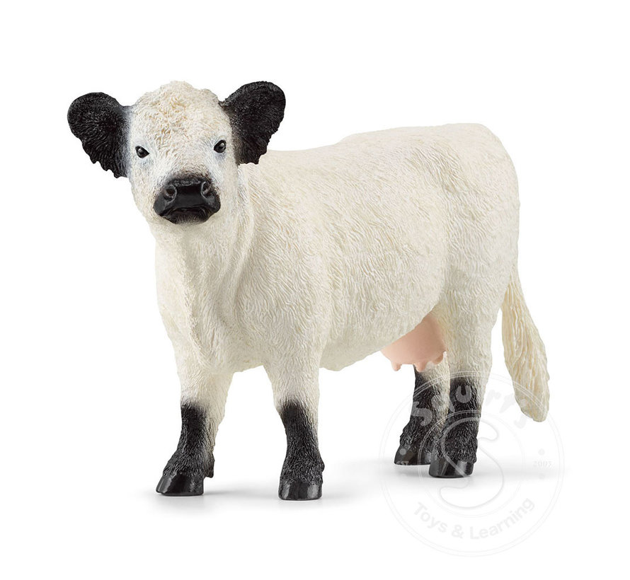 Schleich Galloway Cattle