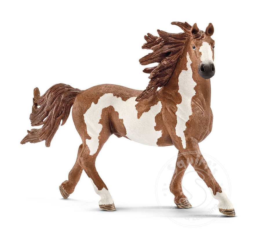 Schleich Pinto Stallion