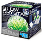 Glow Crystal Growing