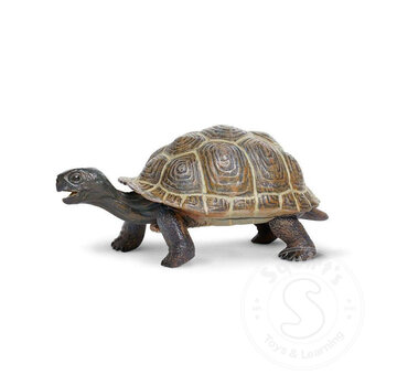 Safari Safari Tortoise Baby