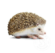 Safari Safari Hedgehog