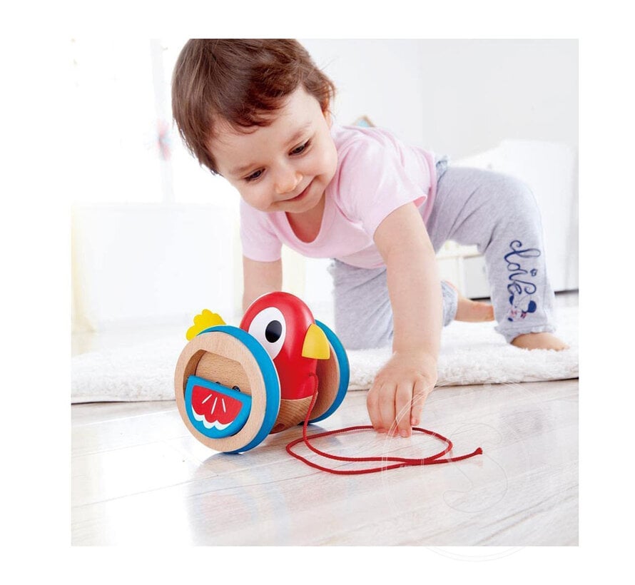 Hape Baby Bird Pull Along