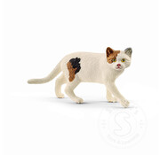 Schleich Schleich American Shorthair Cat