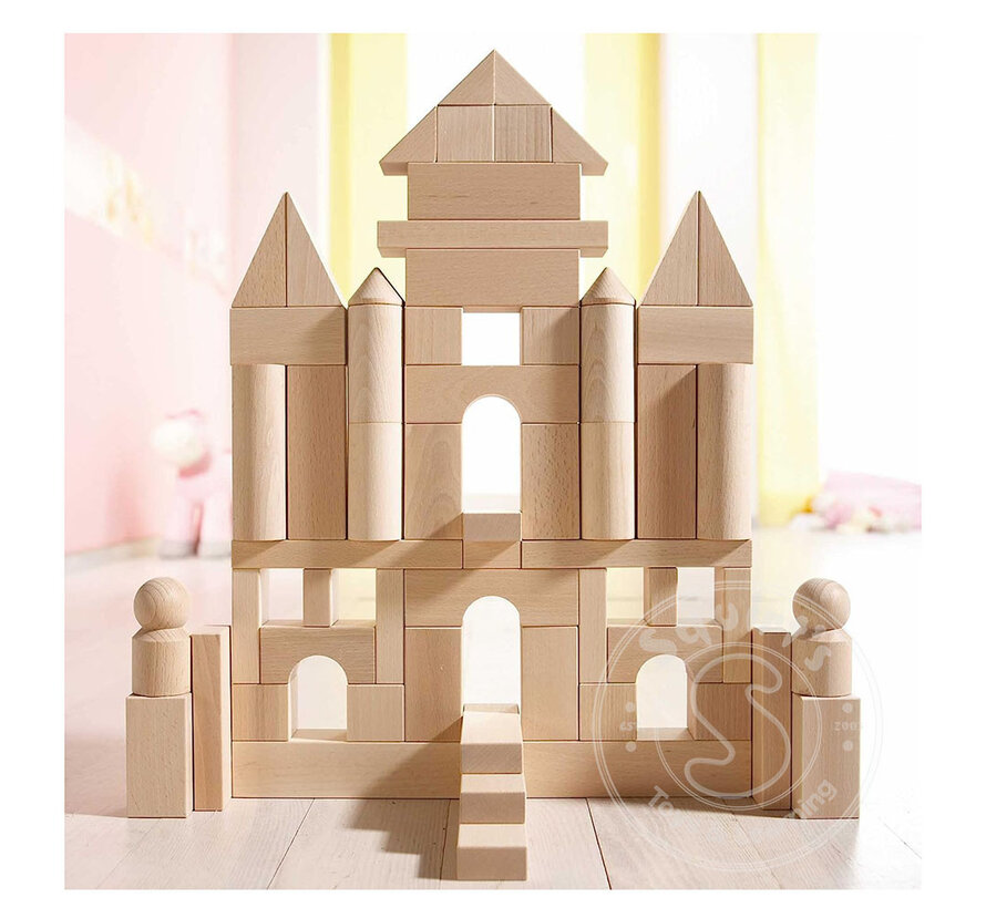 FINAL SALE - Haba 60 pc Blocks Large Starter Set